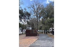 25146 NE 140TH LOOP, SALT SPRINGS, FL 32134