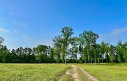Tract 2 FM 2261, Shelbyville, TX 75973