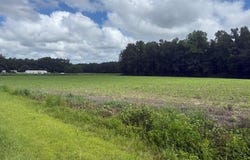 0 Near 403 Flynn Cemet Road, Whiteville, NC 28472