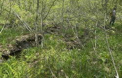 Potter Road, Lowell, VT 05847