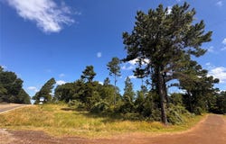 W State Highway 294, Elkhart, TX 75839