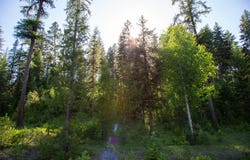 Skyline Ridge Ranch Road, Whitefish, MT 59937