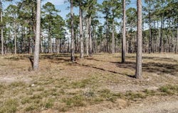 CR 222, Brookeland, TX 75931