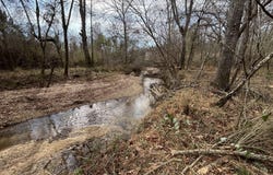 Hwy 28, Hazlehurst, MS 39083