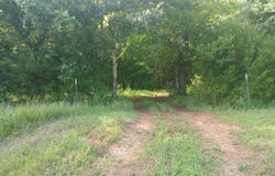 490 EARLY BIRD, Savannah, TN 38372-2521