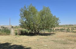 127 Lane 5W, Deaver, WY 82421