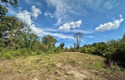 5 Highway 35, Walnut Grove, MS 39189