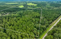 40+/- Acres Stephenson Rd, Coffee Springs, AL 36318