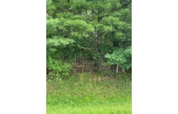Tbd Carsonville Rd, Independence, VA 24348