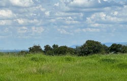 TBD River Road, Coal Hill, AR 72832