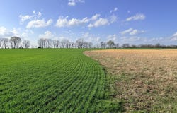 0001 CR-290, Asbury, MO 64832