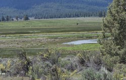 29029 Clearwater Drive, Sprague River, OR 97639