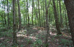 10 Laural Brook Road, Dunlap, TN 37327