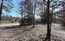 803 CR 1780, Mount Pleasant, TX 75455