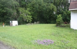 Tbd Us Hwy 17& S.W.Corner Hwy 462, Coosawhatchie, SC 29912