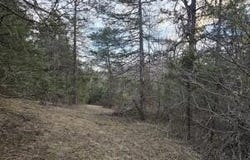 4123 Panther Creek Rd, Sneedville, TN 37869