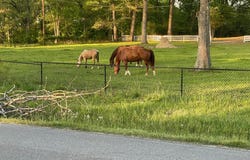 1617 Pleasant Valley Road, Rainbow City, AL 35906