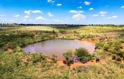 000 N 2260 Rd-80 acers, Frederick, OK 73542