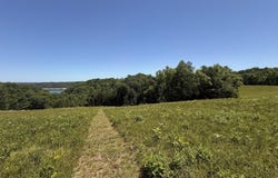 Tract 4 Hwy 196, Nancy, KY 42544