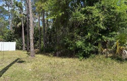 19 WASSERMAN DRIVE, PALM COAST, FL 32164