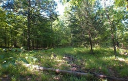 104 Lo Valley, Eatonton, GA 31024