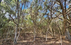 0 Hurricane Boulevard, Irvington, AL 36544