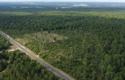 922 Seivern Rd, Wagener, SC 29164