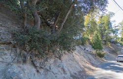 Arbula Drive, Crestline, CA 92325