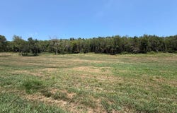 2290 Bluff Rd, Sidney, IA 51652
