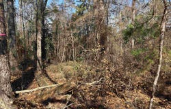 Red Bird Road, Quincy, FL 32351
