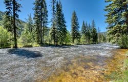 1795 E Fork Road, Sula, MT 59871