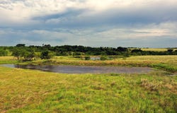 21481 SW County Road 4040, Dawson, TX 76639