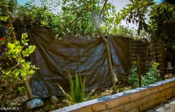 338 E 107 Street, Los Angeles, CA 90003