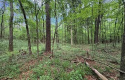 2538 Us-98, Smithdale, MS 39664