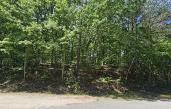 0 Bankston, The Rock, GA 30285