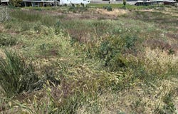 Tbd Grelle Ave, Lewiston, ID 83501