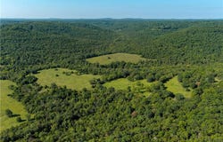 613.19 AC County Rd 211, Eureka Springs, AR 72632