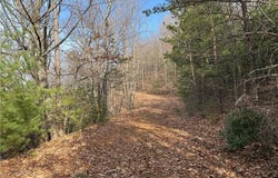 Maple Valley Lane lot: 207 & 220, Purlear, NC 28665