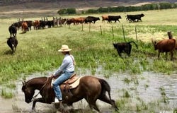 475 COUNTY RD 324, Sinclair, WY 82334