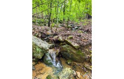0 Cove Gap Rd, Taylorsville, NC 28681