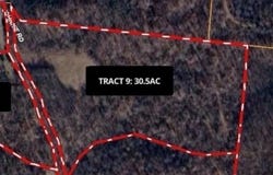 Tract #9 Johnnie Rd, INDIAN MOUND, TN 37079