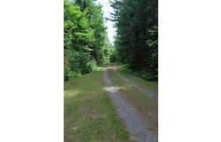 1 Judges Point Road, Abbot, ME 04406