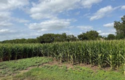 SW 53rd St, Topeka, KS 66610