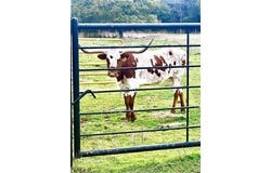 Tbd Sam Bass Road, McGregor, TX 76657