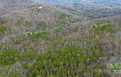 Courtney Drive, Hendersonville, NC 28791