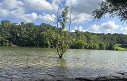 Tbd Roan Creek Road, Butler, TN 37640