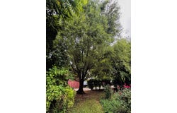 1009 Washington Street, Huntingdon, PA 16652