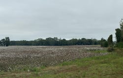 B, D1 & D2 Millside Road, Laurel Hill, FL 32567