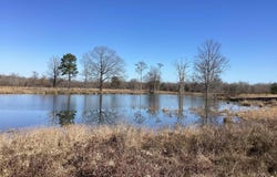 County Road 41, Prescott, AR 71857