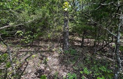 0 Highway 47, Lonedell, MO 63060